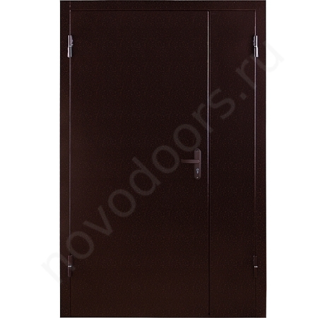 Тамбурная дверь Steel